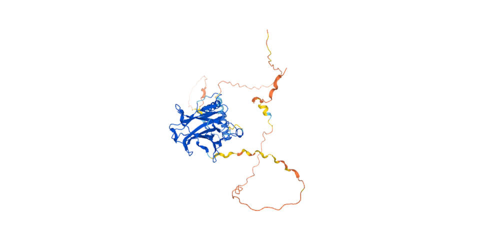 TP53, or tumor protein p53, produces chromatic music. <a href="https://alphafold.ebi.ac.uk/entry/P04637" rel="nofollow noopener" target="_blank" data-ylk="slk:AlphaFold Data/EMBL-EBI;elm:context_link;itc:0;sec:content-canvas" class="link ">AlphaFold Data/EMBL-EBI</a>, <a href="http://creativecommons.org/licenses/by/4.0/" rel="nofollow noopener" target="_blank" data-ylk="slk:CC BY;elm:context_link;itc:0;sec:content-canvas" class="link ">CC BY</a>