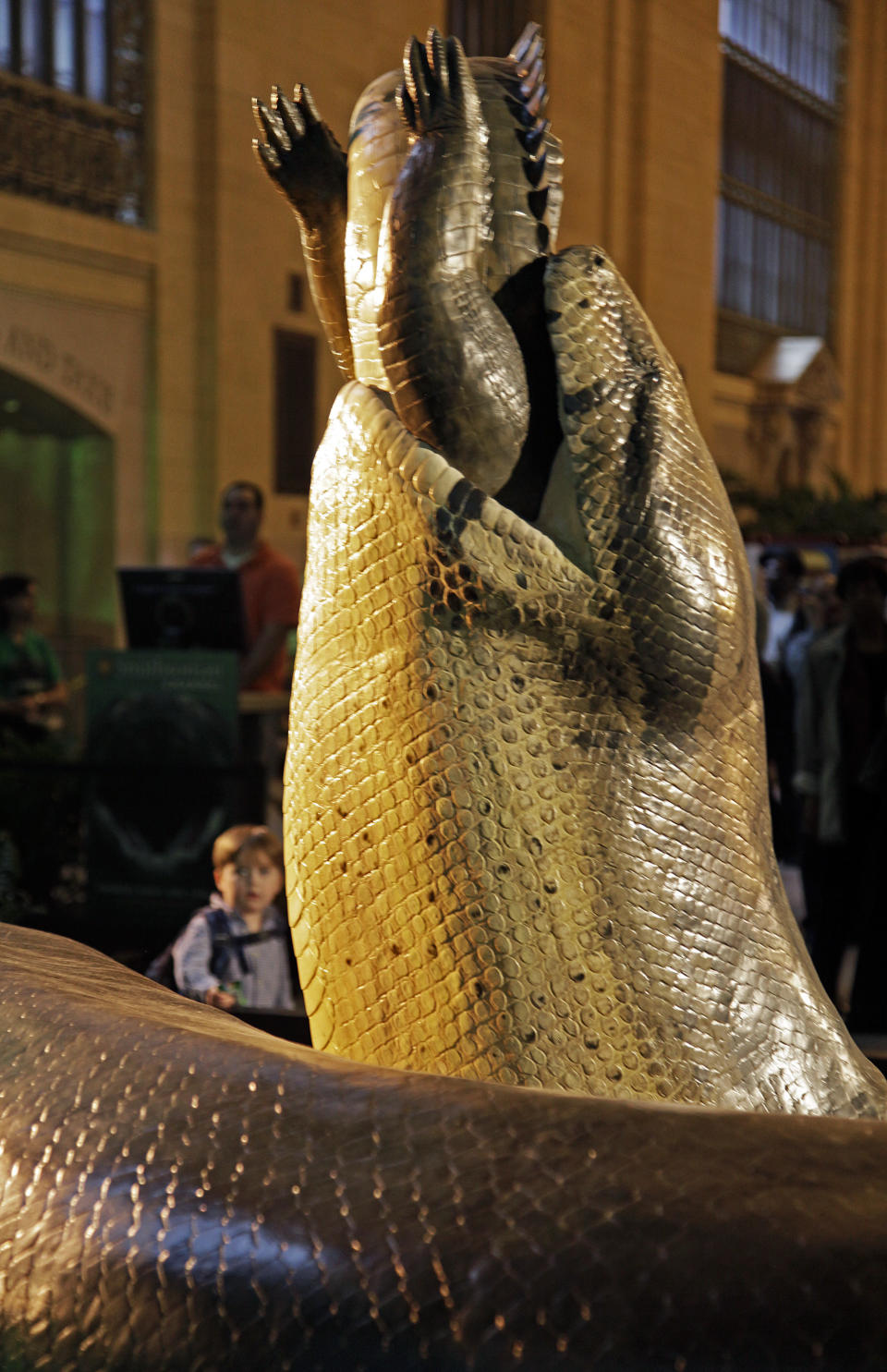 A full-scale replica of the pre-historic snake "Titanoboa" swallowing a crocodile, is previewed on Friday, March 23, 2012, at Grand Central Station in New York, during a promotion for its exhibition at the Smithsonian’s National Museum of Natural History in Washington, D.C., titled “Titanoboa: Monster Snake.” Titanoboa, discovered in 2005 in a open-pit coal mine in Colombia, was 48-feet long and weighed 2,500 pounds and lived more than 60 million years ago when dinosaurs no longer ruled the Earth. The traveling exhibit runs from March 30 through Jan. 6, 2013.(AP Photo/Bebeto Matthews)