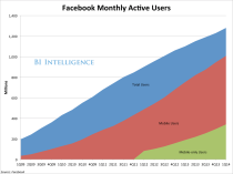 bii facebook users