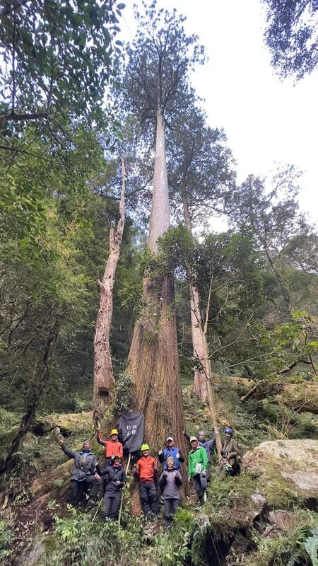 大安溪倚天劍 「找樹的人－巨木地圖計畫」12月2日將在成功大學 舉行第5次成果發表會，介紹台灣山林巨木故事；圖 為目前發現最高的台灣杉巨木、高度達84.1公尺的 「大安溪倚天劍」。 （成功大學提供） 中央社記者張榮祥台南傳真  112年11月29日 