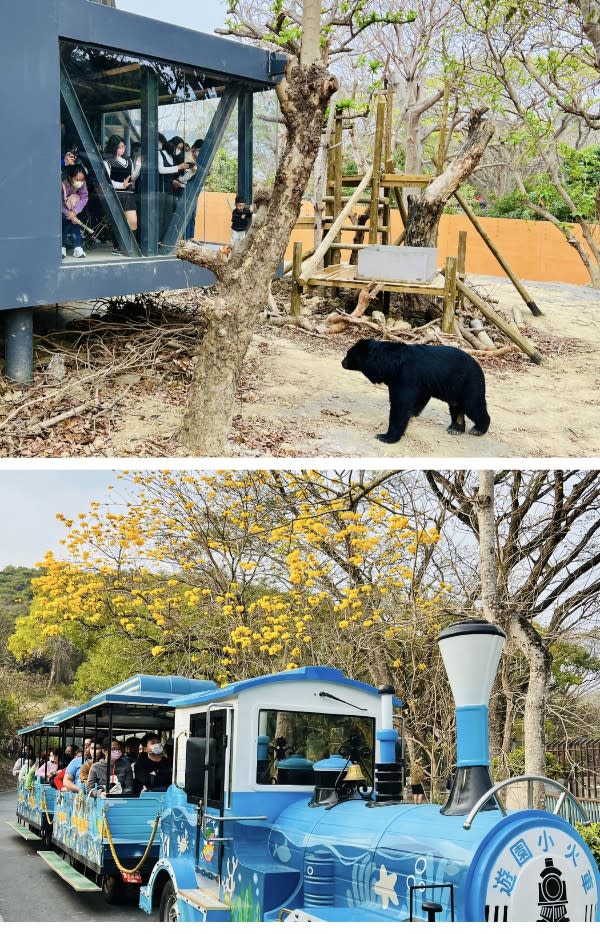 家長救星登場！壽山動物園攜手飯店推住房專案新體驗