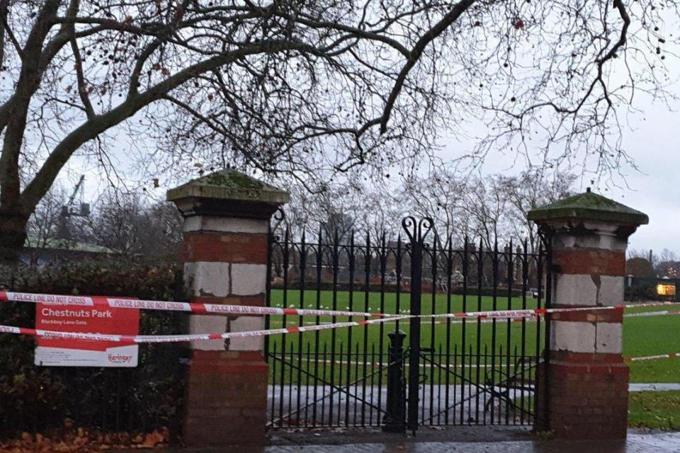 The girl was allegedly attacked in Chestnuts Park: @999London, Twitter