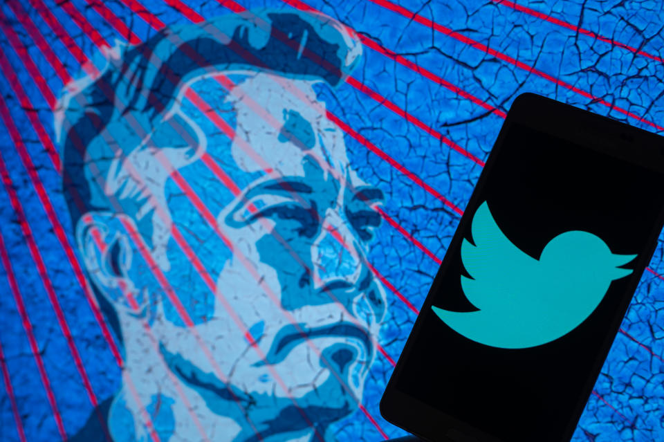 (Photo illustration de Twitter y Elon Musk de Jonathan Raa/NurPhoto via Getty Images)