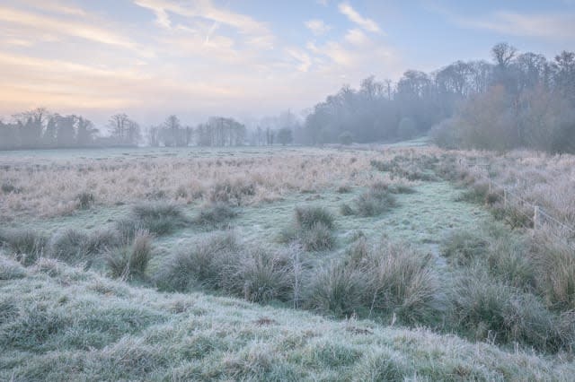 Cold Day At Cowdray Castle In West Sussex, England