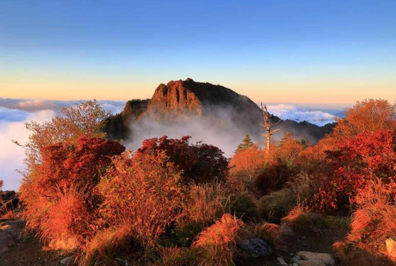 釜山則推出「智異山賞楓一日遊」，可以悠閒漫步在覆滿紅葉的步道上，體驗秋日風情，售價1,693元起。