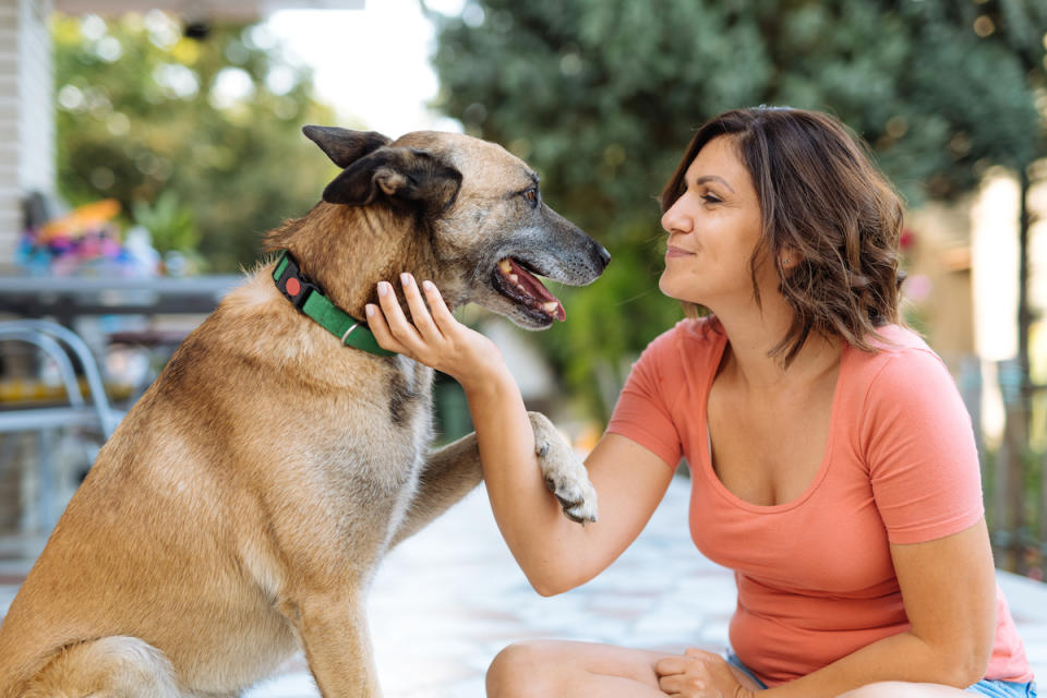 Dog putting paw on woman