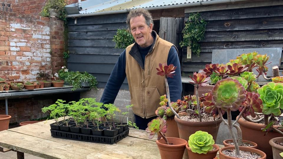 Monty Don planting flowers on Gardeners' World