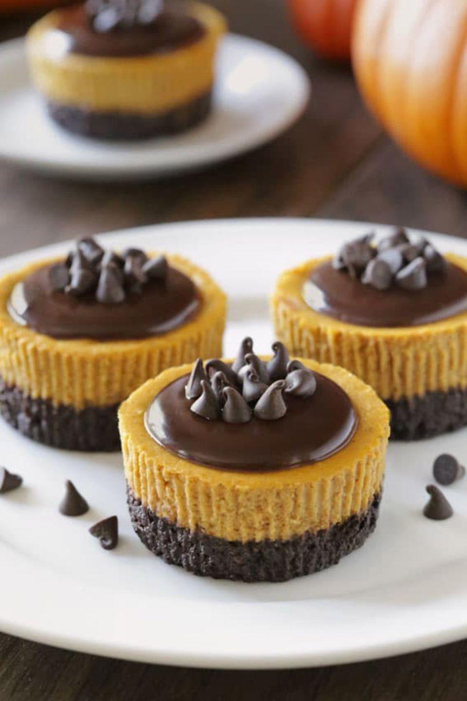 Mini Pumpkin Cheesecakes With Chocolate Ganache