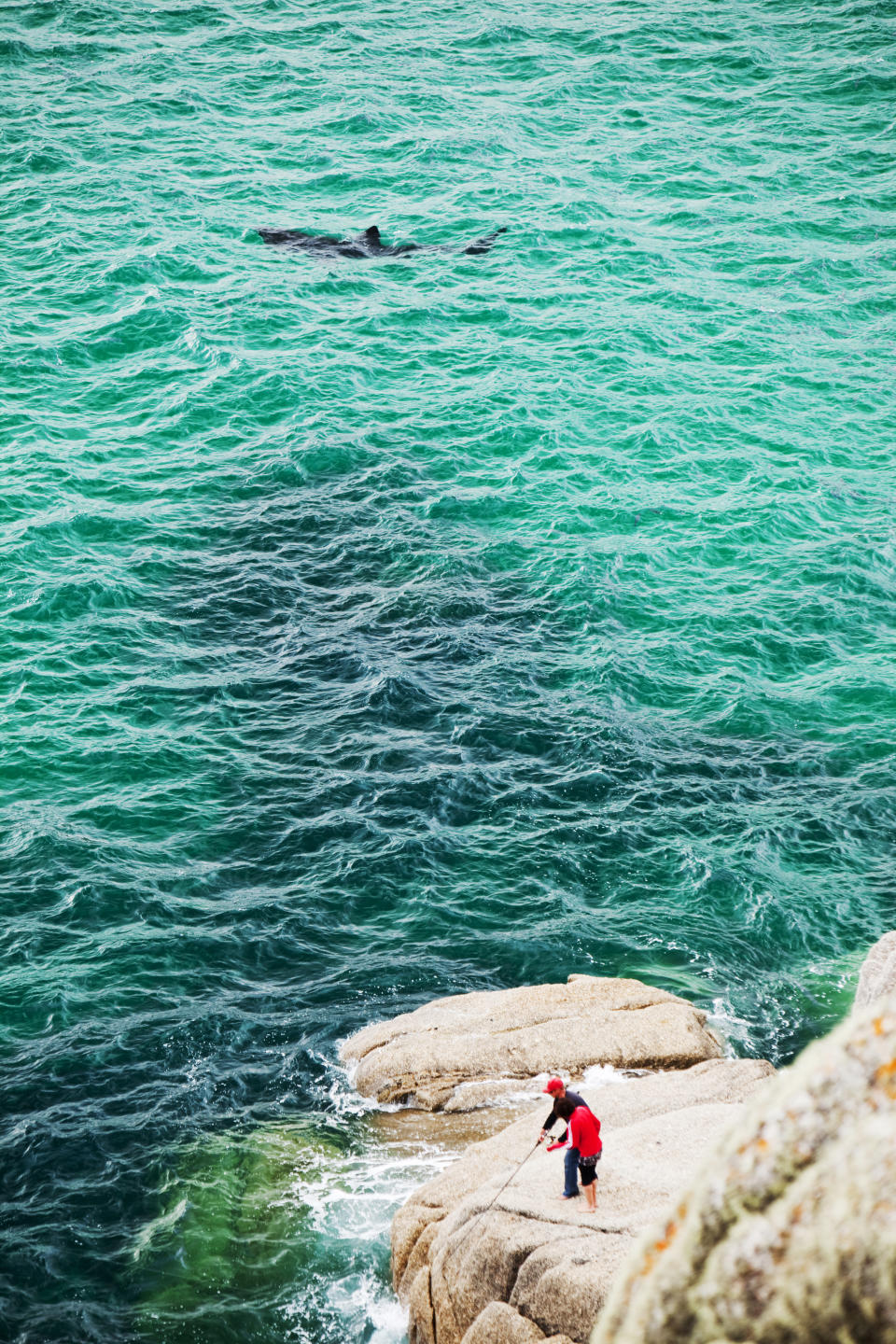 A person in red attire stands on a rocky cliff edge, fishing in the ocean while a large fish swims nearby