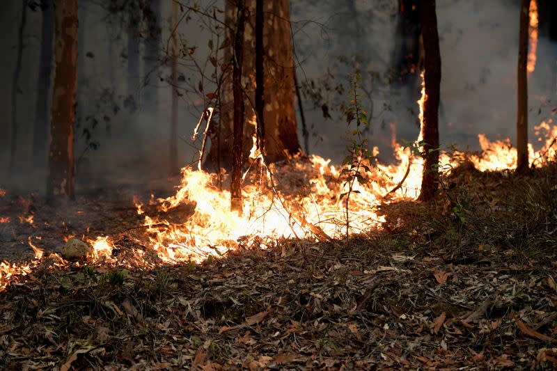 Bushfires in New South Wales, Australia