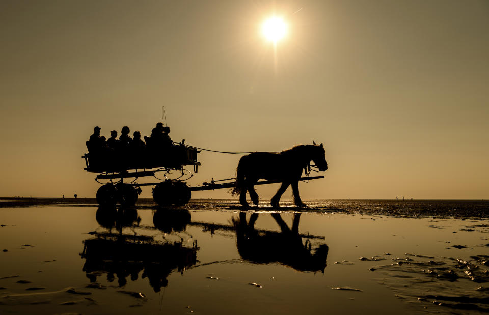 People enjoy the ride in a horse-drawn carriage through the Wadden sea near Cuxhaven, Germany, Wednesday, April 24, 2019. (Mohssen Assanimoghaddam/dpa via AP)