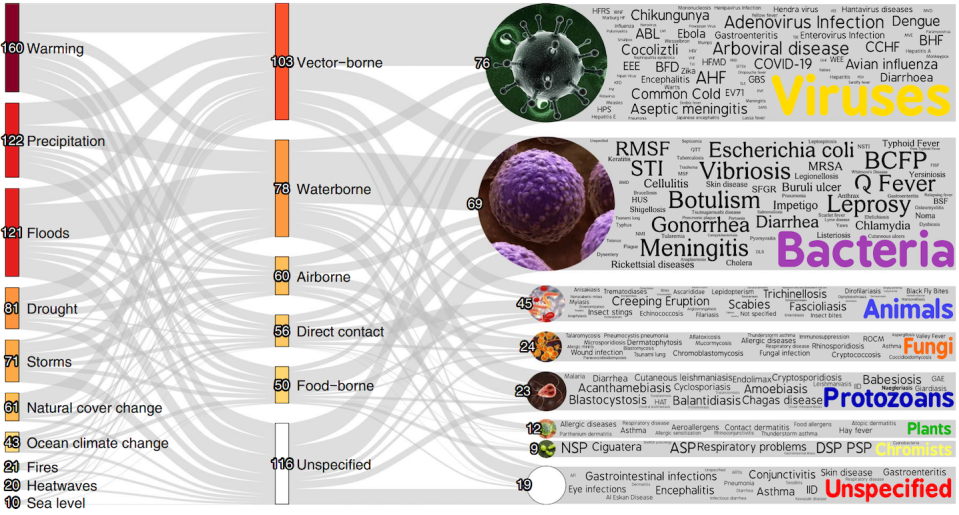 A simplified version of the pathogenic disease chart shows how different climate disasters interact with transmission pathways and pathogens. The full version is available at https://camilo-mora.github.io/Diseases/ <a href="https://camilo-mora.github.io/Diseases/" rel="nofollow noopener" target="_blank" data-ylk="slk:Camilo Mora;elm:context_link;itc:0;sec:content-canvas" class="link ">Camilo Mora</a>, <a href="http://creativecommons.org/licenses/by-nd/4.0/" rel="nofollow noopener" target="_blank" data-ylk="slk:CC BY-ND;elm:context_link;itc:0;sec:content-canvas" class="link ">CC BY-ND</a>