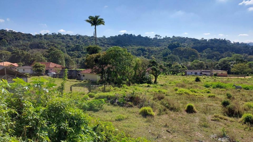 Área verde en Mogi das Cruzes 