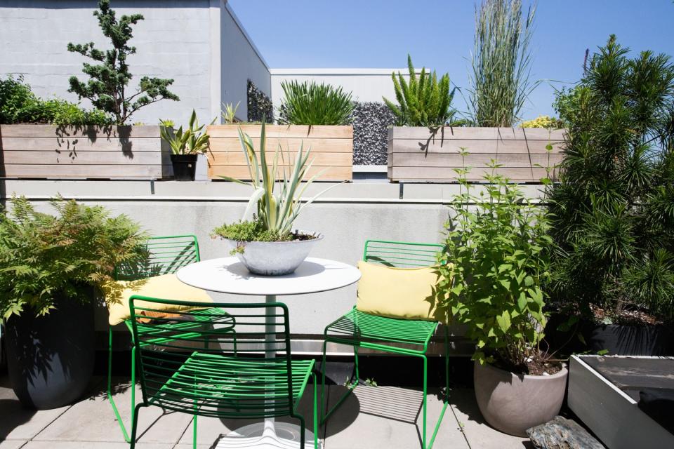 "We love plants, especially Chris, and it’s his little oasis," Jenny says of their terrace. "Every morning it’s his routine to water and take care of the plants." Chris's short-and-sweet advice for being a good plant parent: "Pay attention and don't overwater them." They snagged the lime green chairs from Design Within Reach, but hope to one day expand Pieces to include outdoor furniture.