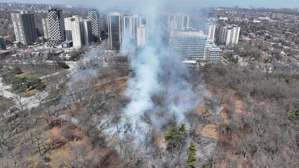 Aerial (drone) images of the High Park Prescribed Burn, shot April 9, 2024.