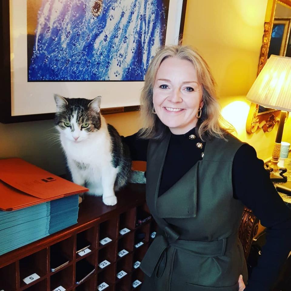 Liz Truss with Larry the cat (@elizabeth.truss.mp/Instagram)