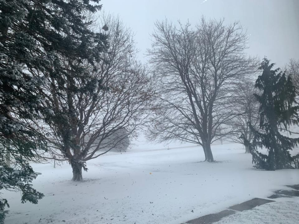 A winter storm hitting Kingsville, Ont., with gusty winds blowing snow across a road. Windsor-Essex and Chatham-Kent are under a blizzard warning. (Stacey Janzer/CBC - image credit)