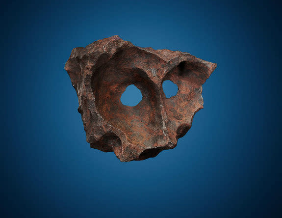 The naturally formed holes on this iron Gibeon meteorite, up for auction in October, found in Namibia give it an animal-like appearance.