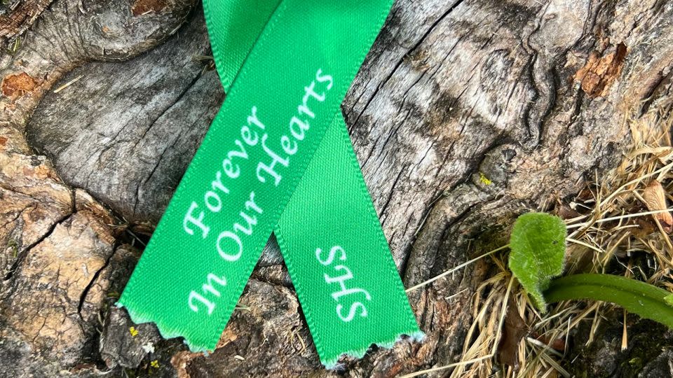 Newtown High's Class of 2024 will wear green and white ribbons on their graduation gowns to remember those they lost. - Anne Clifford/CNN