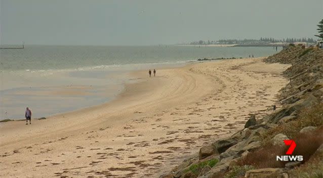 Beachgoers have been warned after a rare surge in numbers of deadly blue ring octopuses along Adelaide’s metropolitan coastline, after a young boy's close call. Source: 7 News