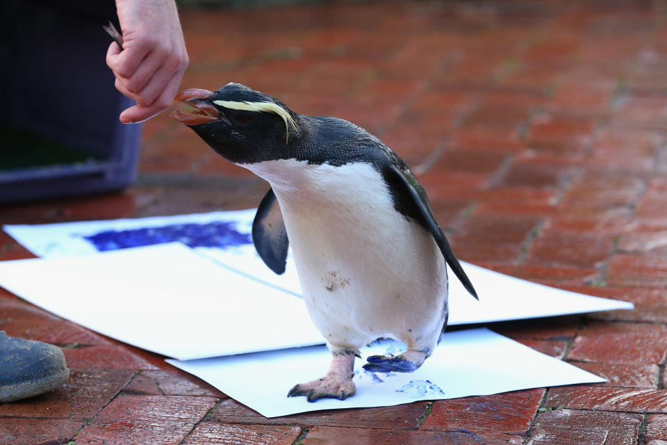 Taronga Zoo