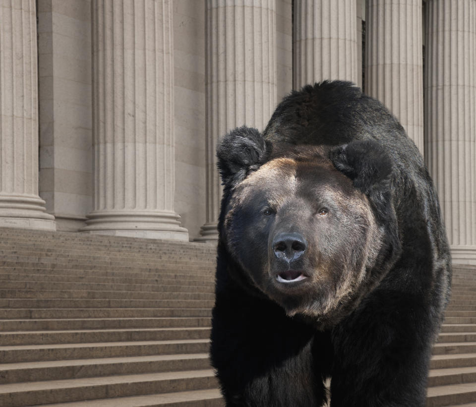 Bear walking on city street, 뉴욕, 뉴욕, 미국