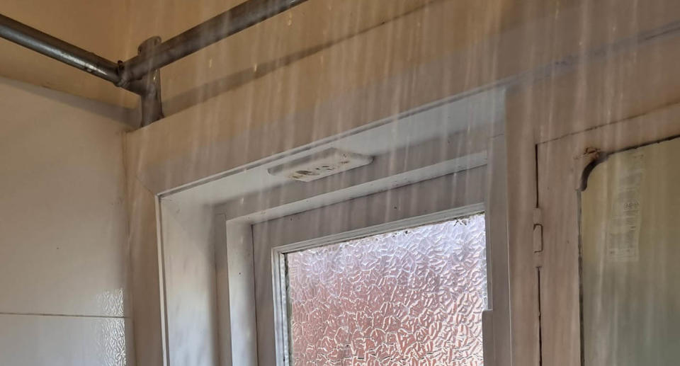 A photo of an electrical socket located at the top of a window, right next to the shower.