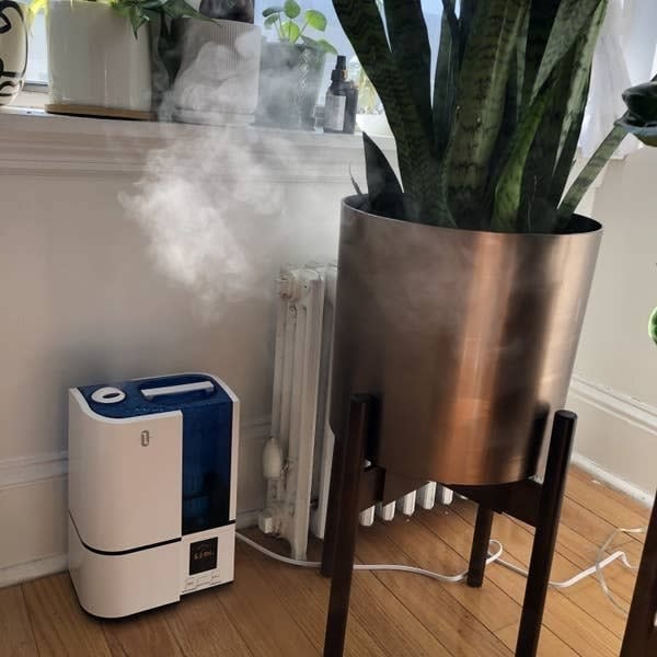 Mimic your tropical plant's natural environment by placing a humidifier next to them. Bye-bye cracking and brown leaves!<br /><br /><strong>Promising review</strong>: "I bought this specifically for my tropical plant collection before winter started. It&rsquo;s been used daily for the past two months and has worked like a charm. <strong>My monsteras are thriving, the zebra plant is growing again and my peace lilies are finally acting like they don&rsquo;t hate me anymore. Bottom line, this works well.</strong> I like that you can adjust the mist level as well as have it on a timer. I prefer setting things up in the morning and forgetting about it while I work. It lessens my stress levels knowing my plants are taken care of and that I don&rsquo;t have to hear a loud humidifier." &mdash; <a href="https://amzn.to/3v414Fy" target="_blank" rel="nofollow noopener noreferrer" data-skimlinks-tracking="5929401" data-vars-affiliate="Amazon" data-vars-href="https://www.amazon.com/gp/customer-reviews/R3VYGTJ00RT19?tag=bfchristine-20&amp;ascsubtag=5929401%2C8%2C27%2Cmobile_web%2C0%2C0%2C16636812" data-vars-keywords="cleaning,fast fashion,skincare" data-vars-link-id="16636812" data-vars-price="" data-vars-product-id="21084772" data-vars-product-img="" data-vars-product-title="" data-vars-retailers="Amazon">Tali G.<br /><br /></a><a href="https://amzn.to/3v5aXTm" target="_blank" rel="noopener noreferrer"><strong>Get it from Amazon for $44.99.</strong></a> 