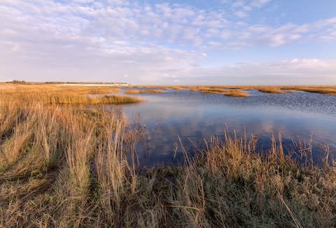 the salt marsh and mudflats at Pegwell Bay - Credit: istock