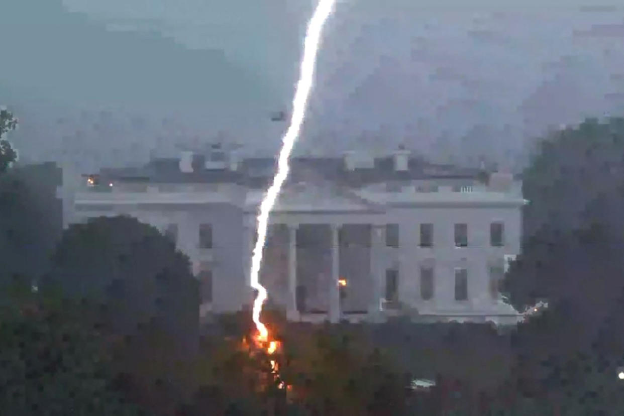 A lightning strike hits a tree in Lafayette Park with the White House in the background.