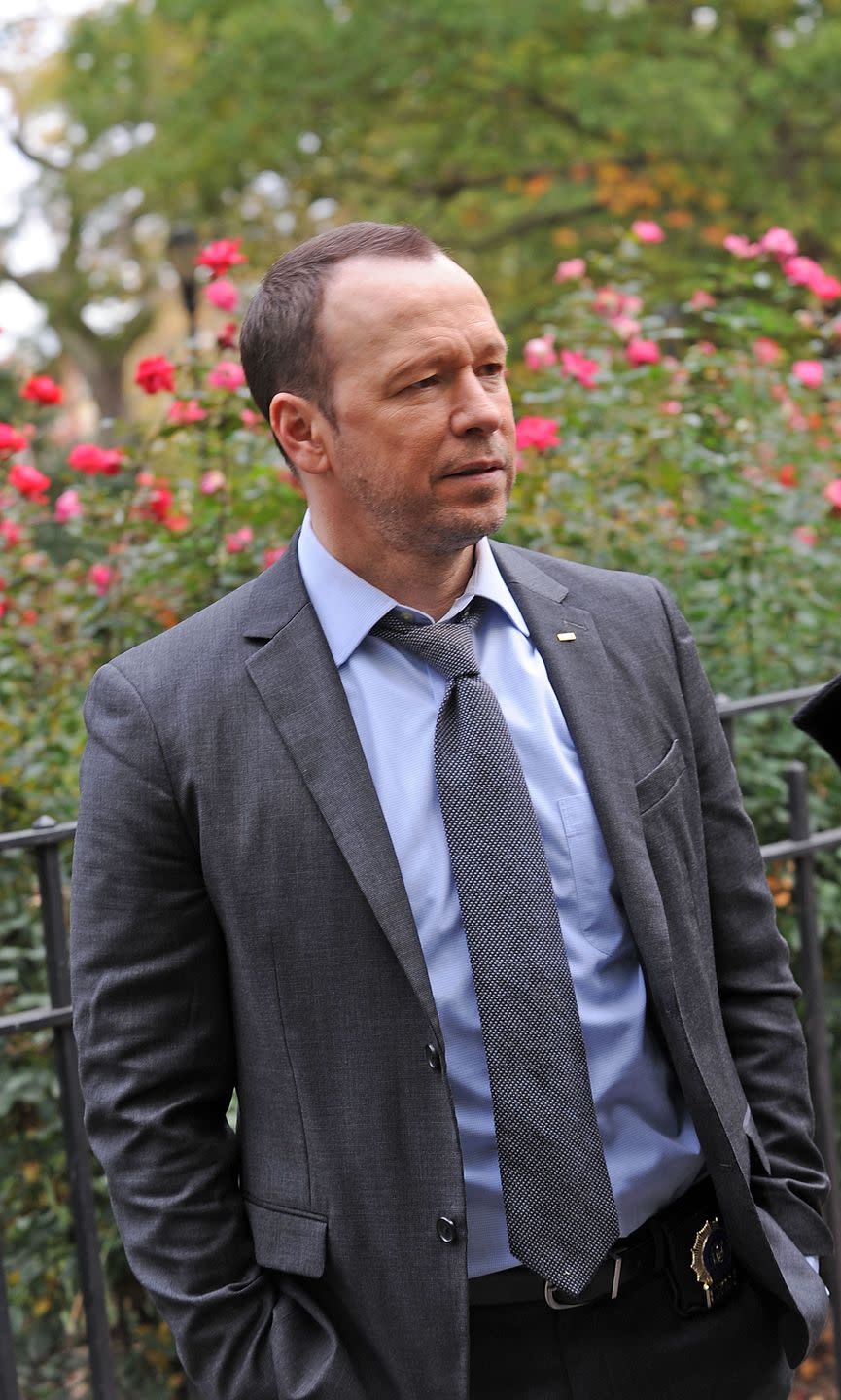 Donnie Wahlberg as Danny Reagan