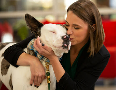 PetSmart opening in 3 weeks, Local News