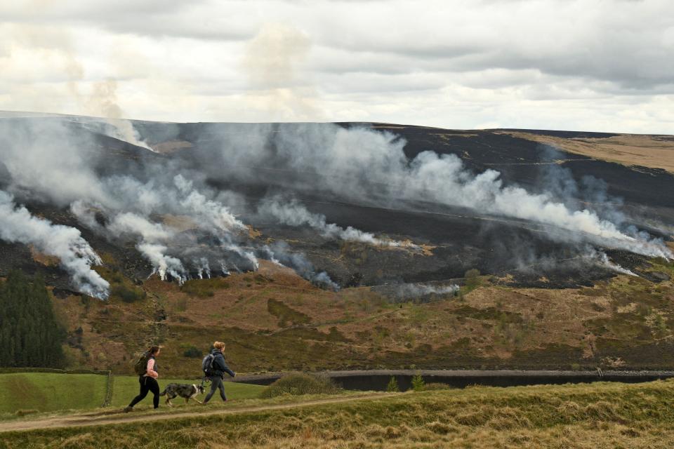 Peatland burning causes large amounts of CO2 to be releasedAFP via Getty Images