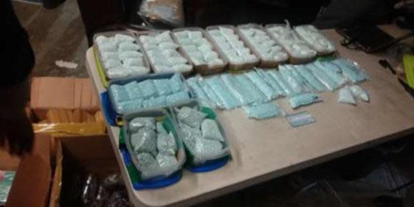 Incautan droga valuada en 743 millones de pesos en Tijuana