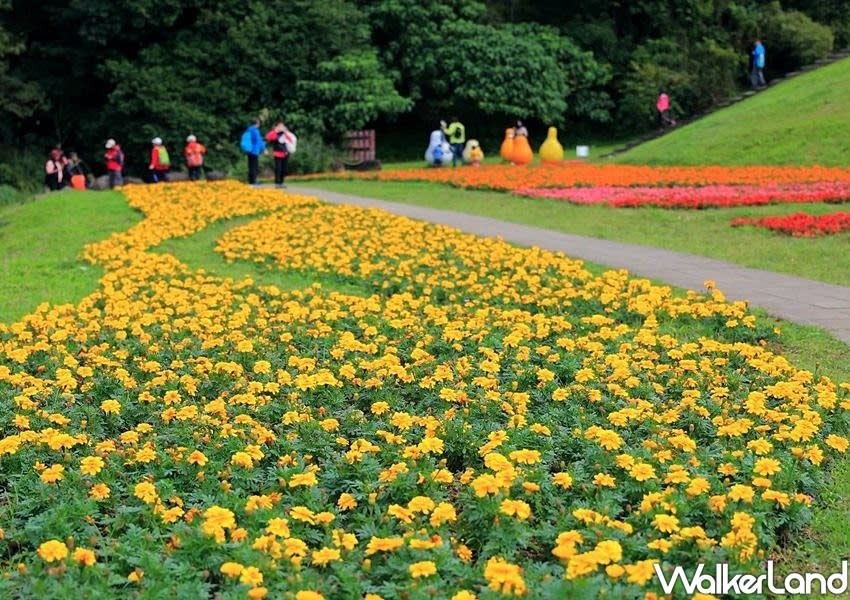 <p>Located just 10 minutes away from the MRT Dahu Park Station, the “Dagouxi Waterfront Park” is a small, secret spot for local Neihu people to take a leisure walk. (Photo courtesy of Taipei Walker)</p>
