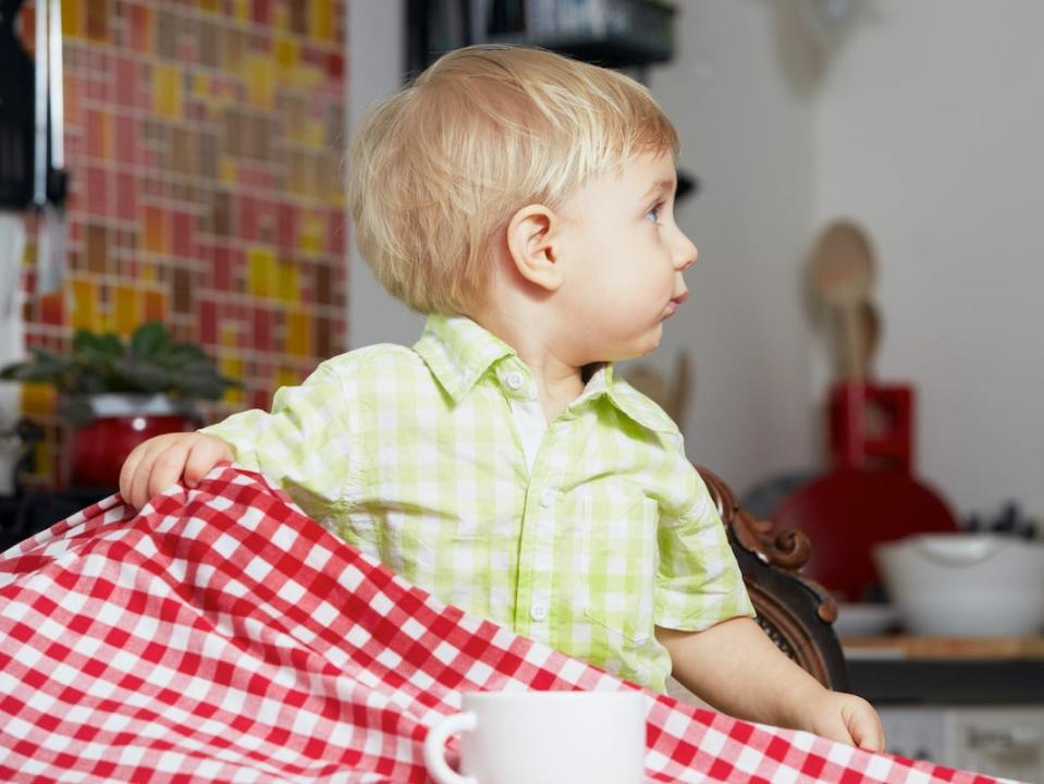 A child pulling on a tablecloth.