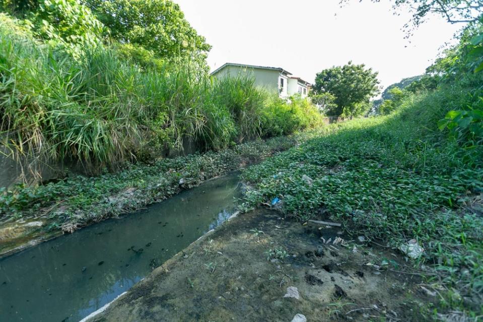 A monsoon drain along Jalan Mengkuang in Taman Melawis, Klang is overrun by wild grass and clogged with silt and garbage. — Picture by Devan Manuel