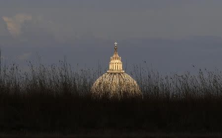 Saint Peter's Square is seen from a hill in the north of Rome July 26, 2011. REUTERS/Alessandro Bianchi (ITALY - Tags: SOCIETY) - RTR2PBI7