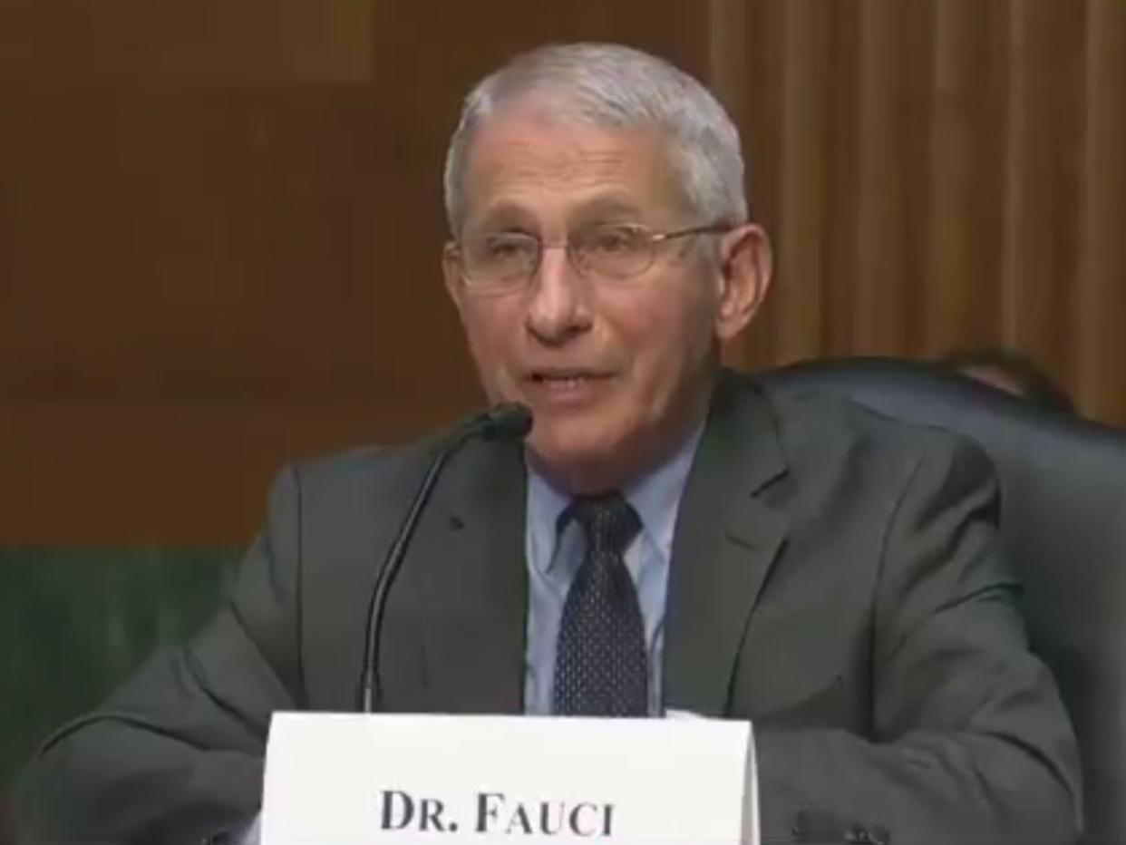 <p>Dr Anthony Fauci during Tuesday’s Covid hearing in Congress</p> (Aaron Rupar/Twitter/C-span)