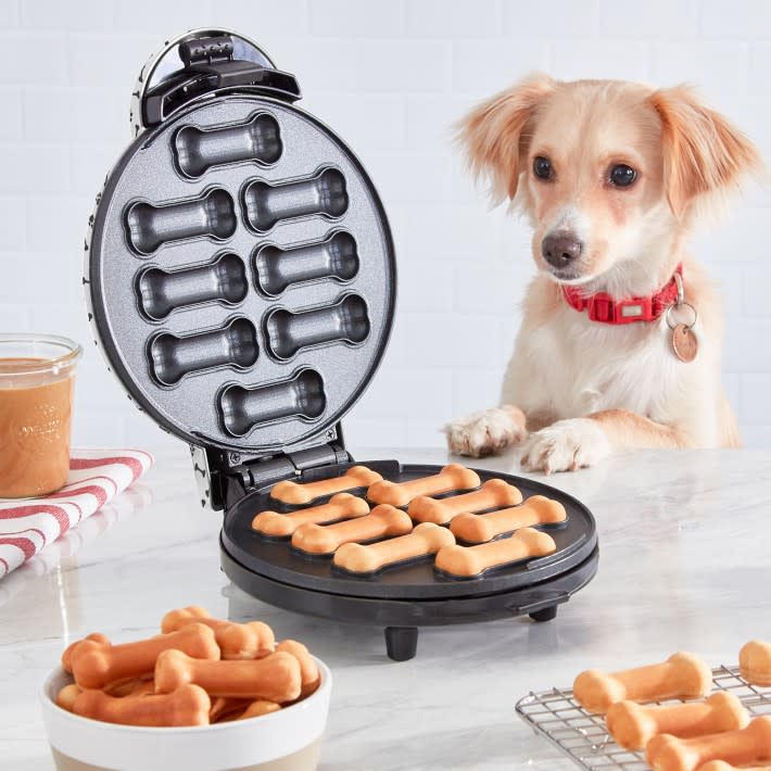 <p><a href="https://go.redirectingat.com?id=74968X1596630&url=https%3A%2F%2Fwww.williams-sonoma.com%2Fproducts%2Fdash-dog-treat-maker&sref=https%3A%2F%2Fwww.delish.com%2Fholiday-recipes%2Fg35905963%2Flast-minute-mothers-day-gifts%2F" rel="nofollow noopener" target="_blank" data-ylk="slk:Shop Now;elm:context_link;itc:0;sec:content-canvas" class="link rapid-noclick-resp">Shop Now</a></p><p>Dash Dog Treat Maker</p><p>$27.95</p><p>Williams-Sonoma</p><span class="copyright">Williams-Sonoma - Product Shot Image</span>