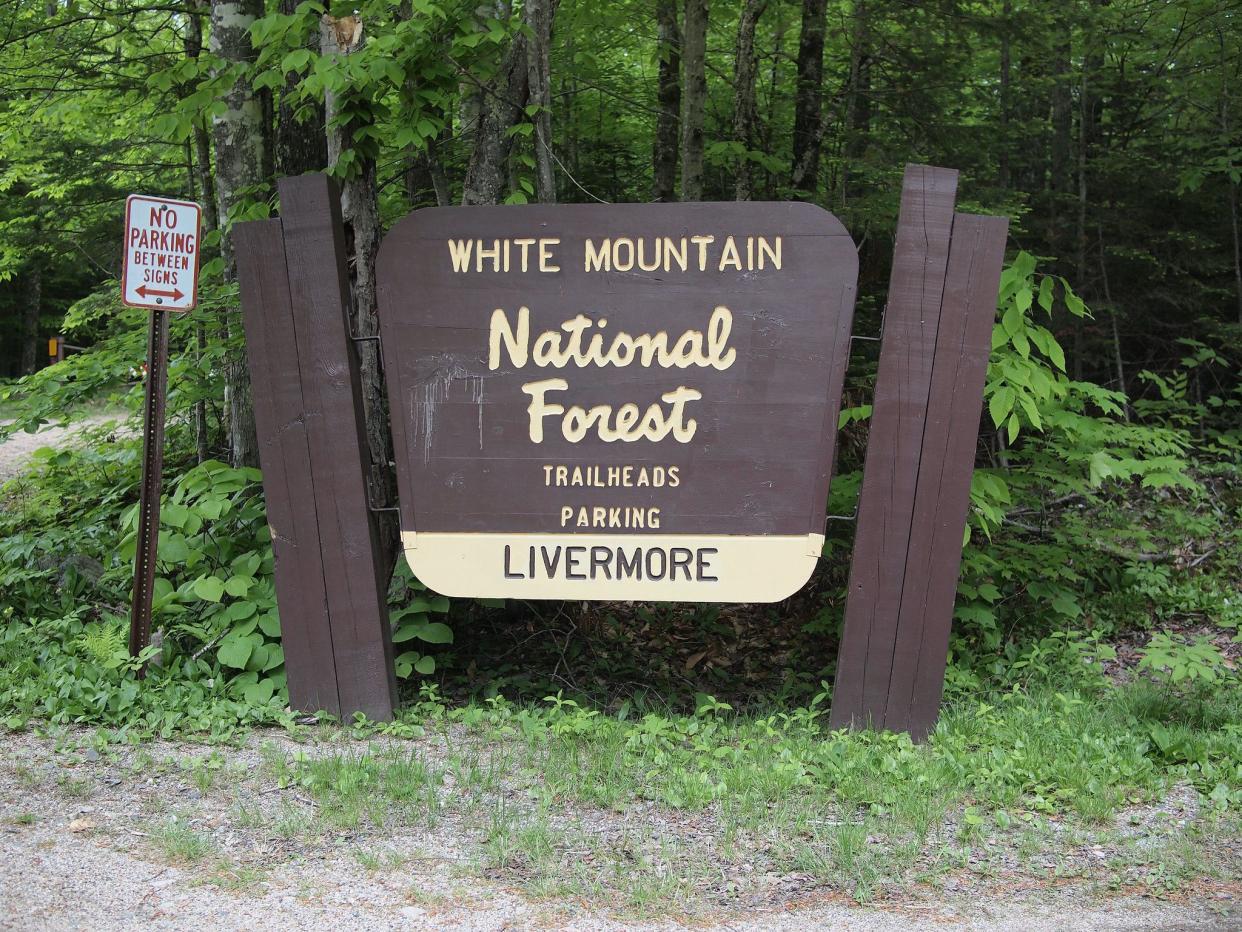 White Mountain National Forest sign in Livermore, New Hampshire