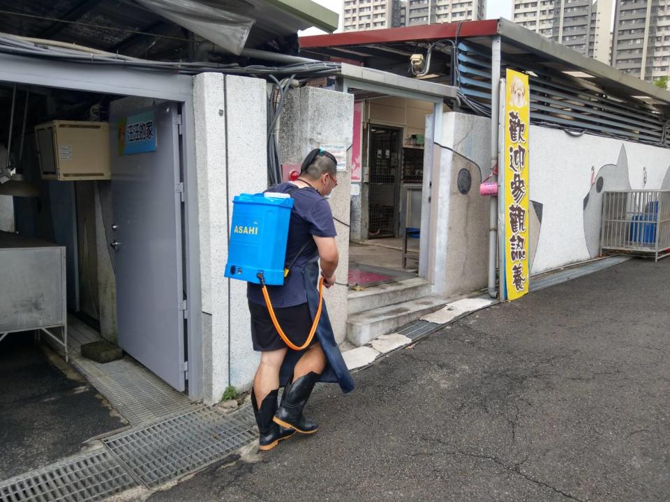 板橋動物之家園區消毒防範蚊蠅孳生。    圖：新北市動保處提供