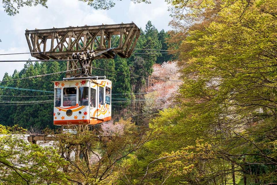 吉野山（Image Source : Getty Creative）