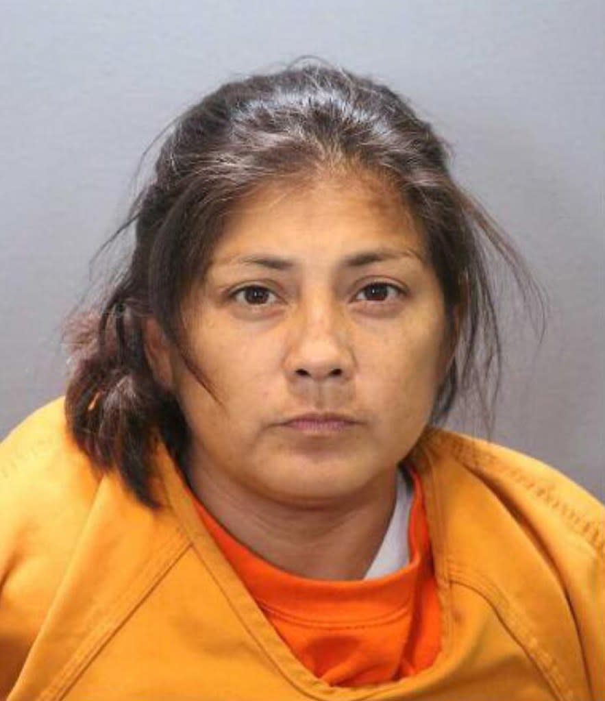 Sandra Hernandez was charged with one count of involuntary manslaughter and one count of child abuse. Orange County District Attorney