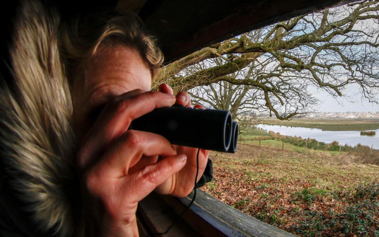 A report has found that birdwatchers' stress levels dropped by 13.7 per cent during an outing