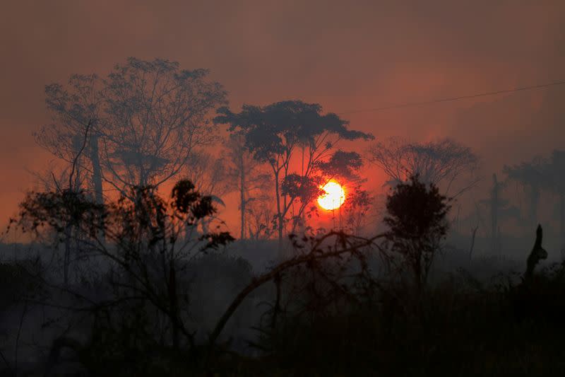 FILE PHOTO: Brazil releases data on Amazon rainforest destruction for August