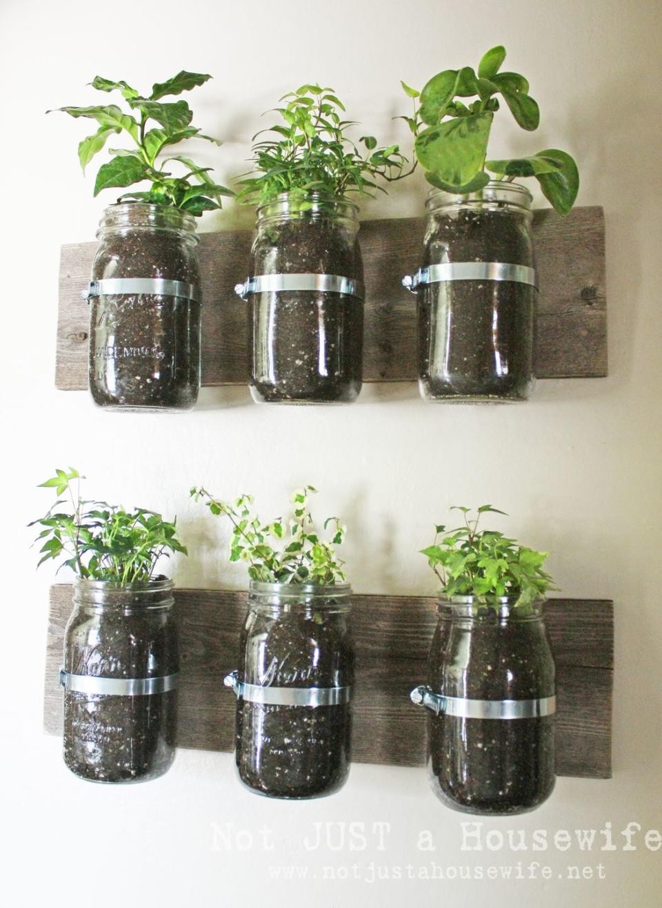 THE GOAL: A Mason Jar Herb Garden