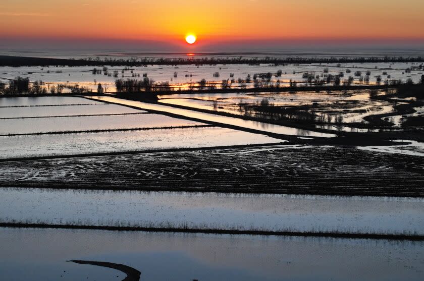 DUNNIGAN, YOLO COUNTY, CALIFORNIA-Jan. 21, 2023-In Yolo County, near the town of Dunnigan, officials from the state Department of Water Resources are working with farmers on a project to recharge the underground aquifers. The water is allowed to percolate into the ground to replenish the aquifers, while also providing habitat for threatened shore birds and other birds. Sunrise over the flooded fields that are part of the program on Jan. 21, 2023. (Carolyn Cole / Los Angeles Times)