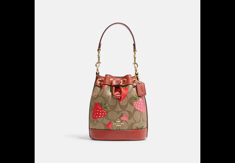 Mini Dempsey Bucket Bag In Signature Canvas With Wild Strawberry Print. Image via Coach Outlet.