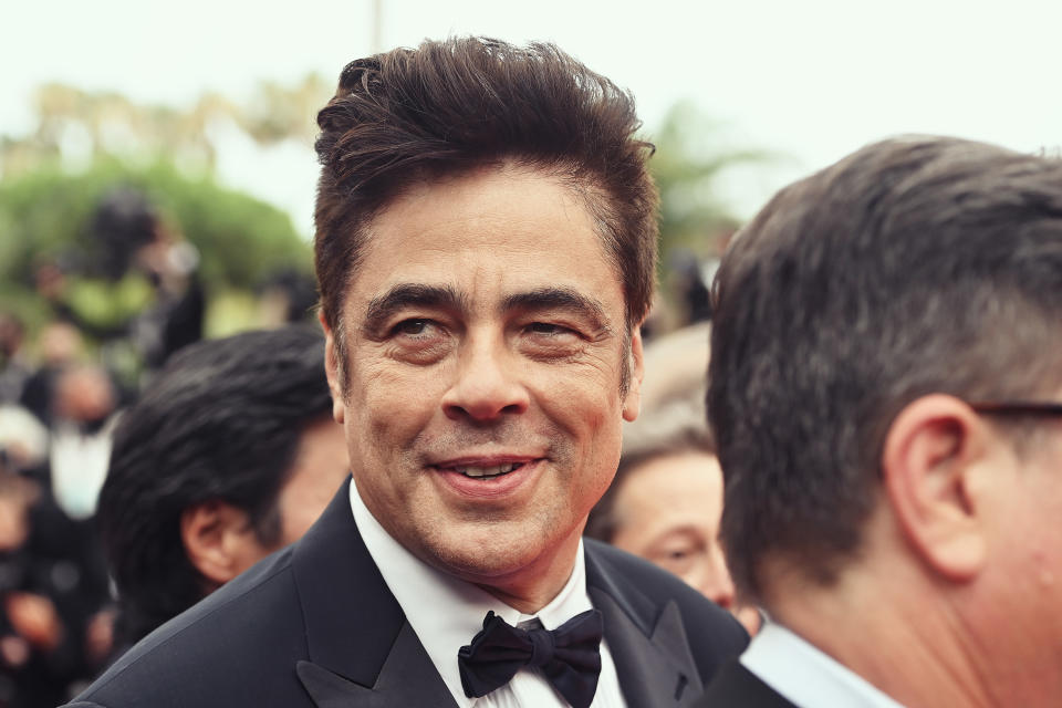 benicio del toro